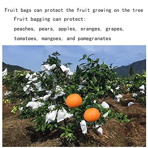 Fruit Protection Paper Bags - 100pcs White Protection Covers 6.2x7.7inch, Orchard, Frost, Plants (16x20) - size: 16x20 cm