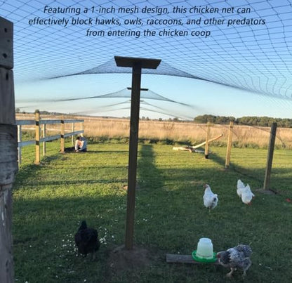 Junflying 25x50 FT Chicken Netting for Hawks & Predator Protection - size: 25x50 FT