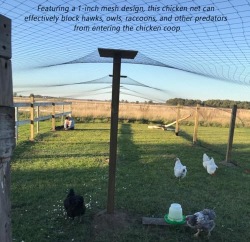 Junflying 50x100 FT Chicken Netting for Hawks & Predator Protection - size: 50x100 FT