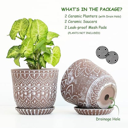 Gepege Ceramic Plant Pots, 6 Inch Indoor Planters with Drainage & Saucers - color: Brown-c, size: 6 Inch - Set of 2