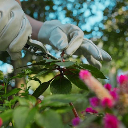 Radius Garden 7.5-inch Hand Pruner with Fine Tip Blades for Pruning