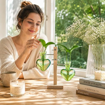 Nacome Plant Terrarium Propagation Stations: Green Vase with Wooden Stand - color: Green