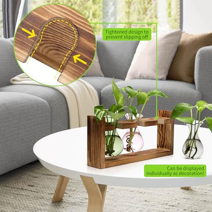 Plant Propagation Station Plant Terrarium Unique Birthday Gifts for Women - color: Color02