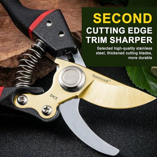 Gardening shears for pruning garden shrubs and harvesting flowers, fruit - style: Japanese Garden Pruning Shears