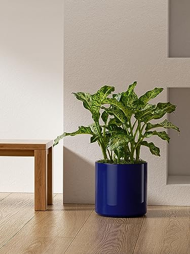 LE TAUCI 12 Inch Pot for Plants, Ceramic Indoor Planter, Midnight Blue - color: Midnight Blue