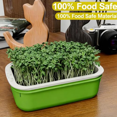 Plastic Double-Layer Plant Growing Nursery Pots Vegetable Flower Seedlings Tray Soilless Germination Plate Garden Tools,16.5 * 10.5 * 5.5cm(3 pcs) - color: 3 Pcs