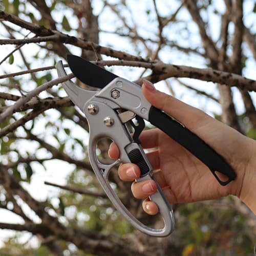 Heavy Duty Pruners Scissors Ratchet Hand Pruner with Ratcheting Garden Hand Tool Clippers Gardening Pruners Tools, 20.5 * 8cm (White Black) - color: White Black
