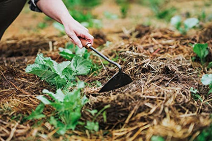 Barebones Triangle Hoe - Stainless Steel Hoe - Japanese Gardening Tools for Weeding, Long Handle and Hand Hoe (Walnut/Black) - color: Walnut/Black, size: Triangle Hoe