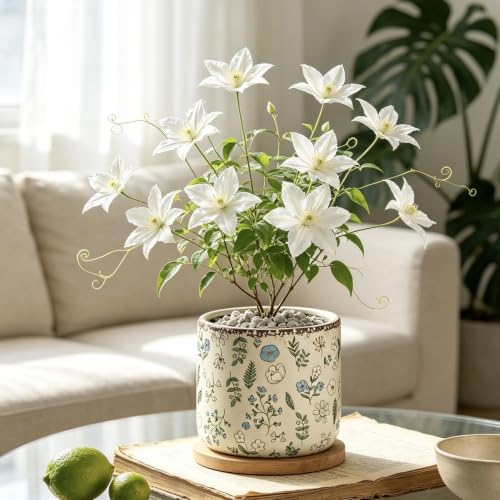 Ceramic Pots for Plants,6.3 Inch Cylinder Flower Pot with Drainage Hole, Rustic Decorative Plant Pot for Succulents, Flowers, Indoor Outdoor Garden Home Office Decor (Large) - size: Large