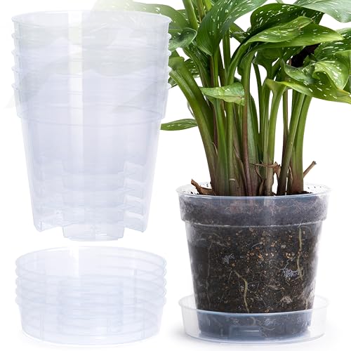 6 Inch Clear Plastic Plant Pot with Drainage Holes, Interlocking & Detachable Tray - Deep Saucer - Durable BPA-Free Plastic, Transparent Design, Raised Base for Airflow, Set of 6, 92-X-A-5 - size: 6" x 5.5"