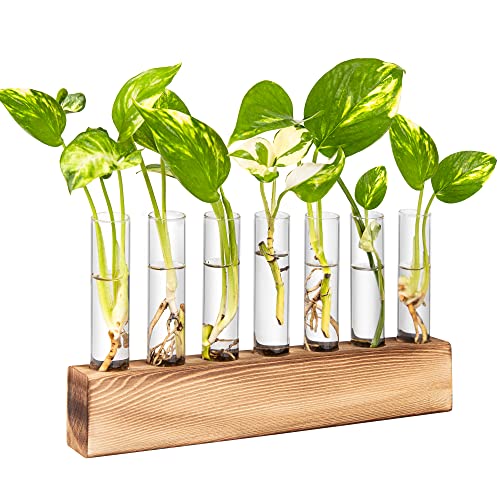 KAXYEW Plant Terrarium with Wooden Stand, Plant Propagation Tubes, 7 Test Tubes Glass Planter for Hydroponic Plant Cuttings Home Office Décor - color: Beige, size: 7 Tubes