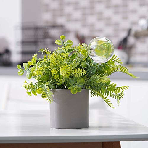 Tomorotec 2Pcs Rainbow Glass Plant Watering Globes, Self Watering Spikes - color: Iridescent 2-Pack