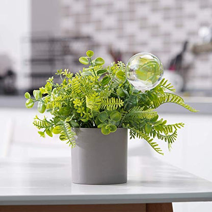 Tomorotec 2Pcs Rainbow Glass Plant Watering Globes, Self Watering Spikes - color: Iridescent 2-Pack