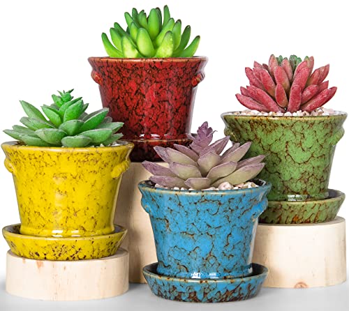 Succulent Pots, 4.2 Inch Small Flower Pots with Drainage - color: Blue/Green/Red/Yellow
