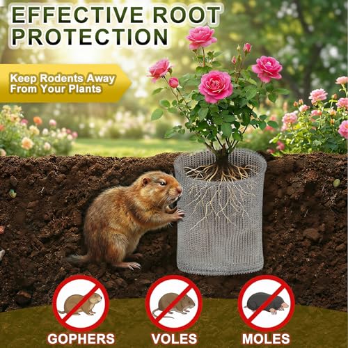 10 Pack Gopher Baskets 1 Gallon, Root Guard Gopher Proof Stainless Wire Steel Baskets, Plant Mesh Wire Baskets, Gopher Vole Proof Wire Cage for Garden Berries Vegetables Protection - size: 1 Gallon-10pack