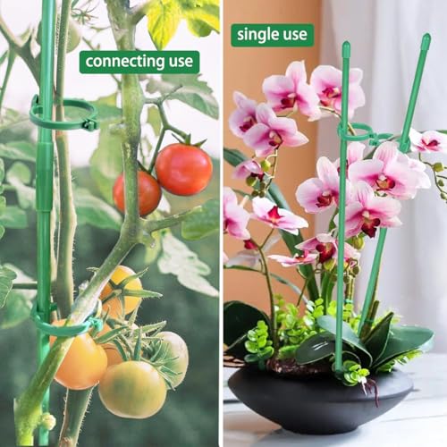 Belit 8 Pack Small Plant Support Plant Stakes, Adjustable Garden Single Stem Support Stake, Planter Support Ring for Orchid, Rose, Peony, Peppers and More, DIY 31.5 inch - size: 31.5Inch