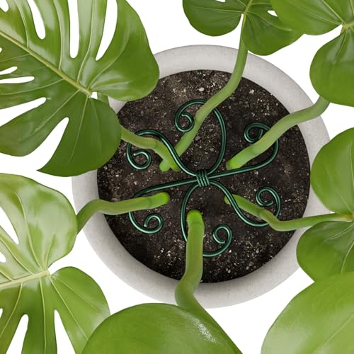 4PCS Iron Monstera Support, Uniquely Designed Plant Support Stakes for Indoor Plants, Stable Plant Stakes and Supports, Turtle Shell Bamboo Clamp Set for Thriving Growth