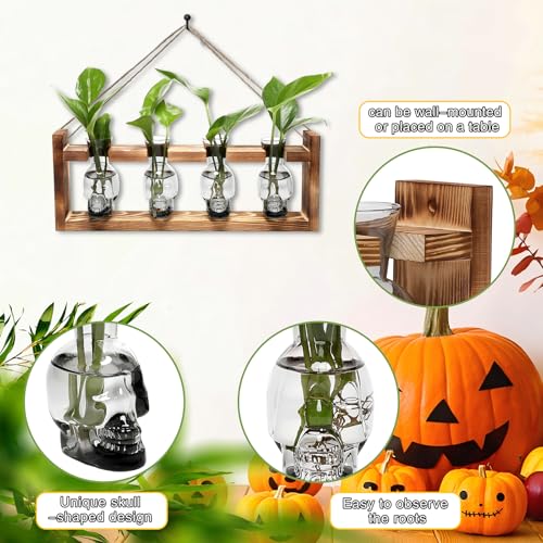 Plant Propagation Stations Halloween Skull Plant Terrarium Kit - color: Gray