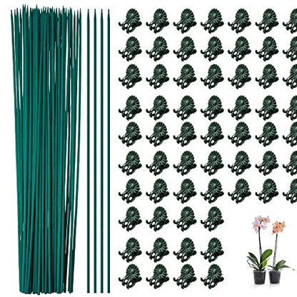 Jetec 120 Pieces Plant Support, Include 18 Inch Wood Plant Stake, Plant Clips, Garden Plants Bamboo Stake Craft Floral Picks Orchid Clips, Green