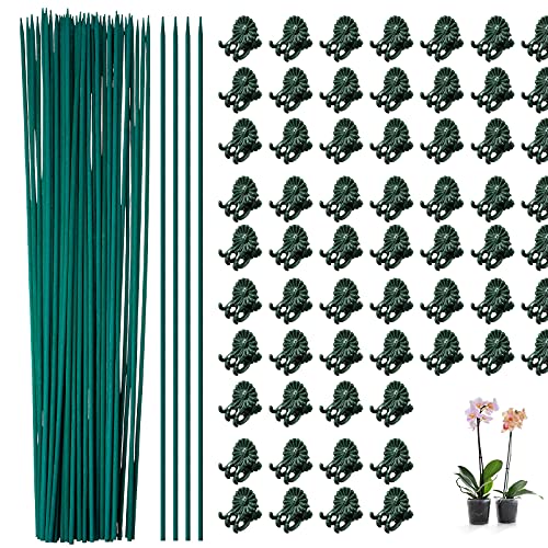 Jetec 120 Pieces Plant Support, Include 18 Inch Wood Plant Stake, Plant Clips, Garden Plants Bamboo Stake Craft Floral Picks Orchid Clips, Green