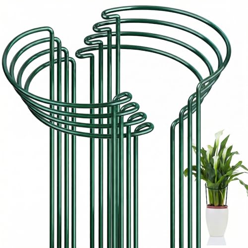 FEED GARDEN 8 Pack Peony Cages and Supports, Plant Support Stakes for Outdoor & Indoor Plants, 10" W x 16" H Half Round Garden Plant Support Rings for Peonies, Hydrangeas, Roses, Dahlias - size: 8 Pack-16" H
