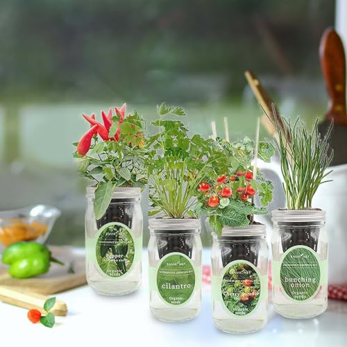 Hydroponic Mason Jar Indoor Garden Organic Seed Starter Kits - Zesty Salsa Growing Kits, Gardening Gift (Jalapeno Pepper, Cilantro, Cherry Tomato - Tiny Tim, Bunching Onion) - color: Zesty Salsa Growing Kits