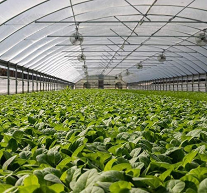 Garden Netting Bird Net 4x10Ft for Bug Protection - size: 4'x10'