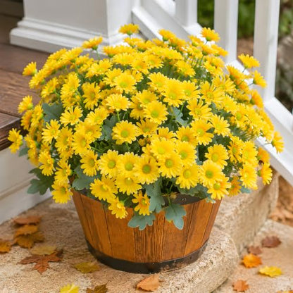 CLEANGOR 12 Pcs Daisy Artificial Flowers for Outdoors, Fake Mums (Yellow) - color: Yellow
