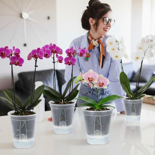 9 PCS Clear Self Watering Pots Naked Root Planters(4.73'', 5.91'', 7.09'')