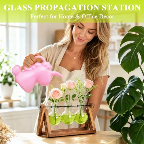 XXXFLOWER Plant Terrarium Kit with Wooden Stand 3 Gradient Green Bulb Vases - color: Green