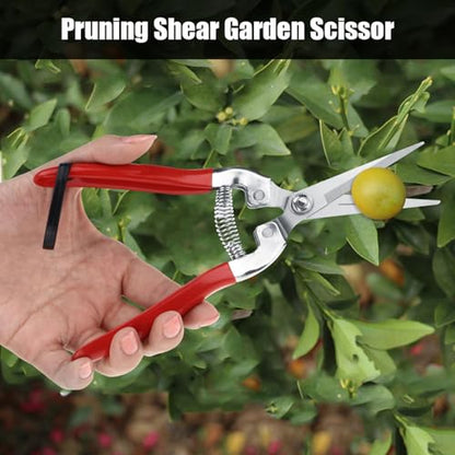 Stainless Steel Straight Pruning Shears for Rose Gardening Plant Trimming and Fruit Harvesting Durable Ergonomic Hand Pruners Garden Yard Tool