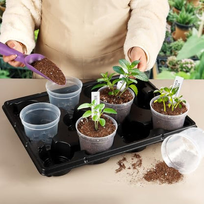 4 Inch Clear Nursery Pots for Plants, Plastic Plant Pot with Drainage Holes, Sturdy Seed Starter Pots, Small Transparent Seedling Pots with Plant Labels and Soil Screens, Gardening Gifts(30 Pack) - size: 4 Inch-30P