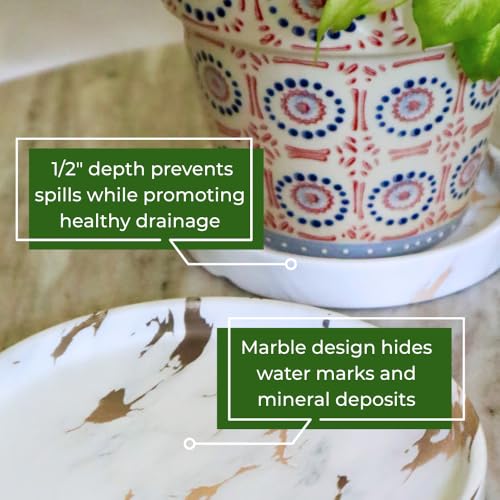 Ceramic Plant Saucer | Plant Trays for Indoors | Drip Tray | Plant Pot Saucers (4in + 6in, White and Gold) - color: White and Gold, size: 4in + 6in