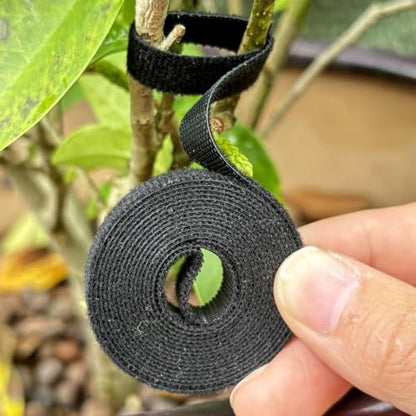 3Rolls Nylon Plant Ties Reusable Self Adhesive Plant Fastener Tape for Support Garden Supplies,200Ccm (Black) - color: Black