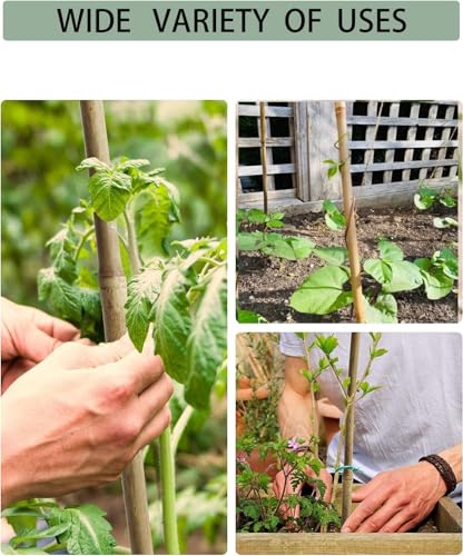 5 Ft Bamboo Stakes with 100 Twist Ties Natural Bamboo Garden Stakes for Dahlias Cucumber Grapes Pole Beans Trees Potted Dahlia Flowers and Climbing Plants - Pack of 60 - size: 58 INCH-60 PACK & Ties