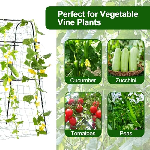 Cucumber Trellis for Raised Bed, 63" Hx63 L, Black - size: 5 x 2 x 5 ft, Arch Tunnel, Black