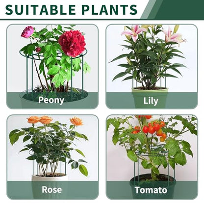 4pack Peony Cages and Supports, 10 x 16 Inch Four Legs Peony Cage, Heavy-Duty Peonies Support Cages, Peony Ring for Roses, Hydrangeas, Sage, Peonies, Cucumbers, Tomato - size: 10"x16"-4pack