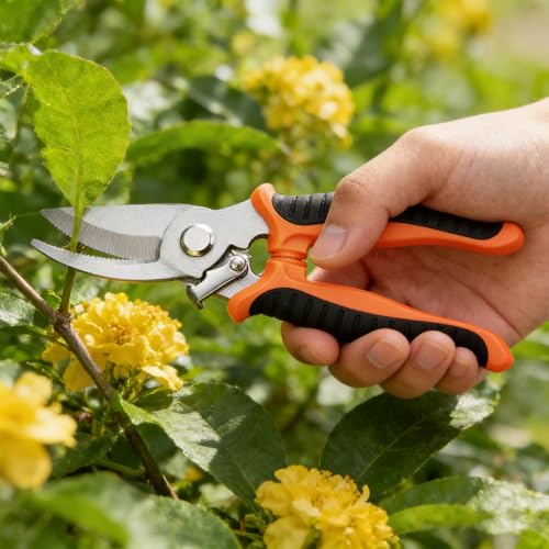 4PCS Garden Pruning Shears Set, 2 Bent Pruning Shears + 1 Straight Multi-Functional Scissors + 1 Pointed Precision Shears, Gardening Tools for Branches, Vines & Shrubs - color: Color3
