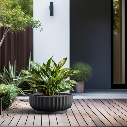 Kante Large Round Shallow Black Concrete Planter 20.9" Dia, Outdoor - color: Black, size: 20.9"w x 8.3"h