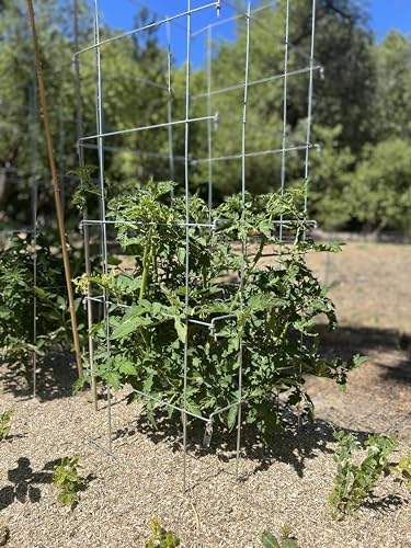 Happy Trees Large Heavy Duty Folding Tomato Cages, 3-Pack, Made in USA - color: Silver