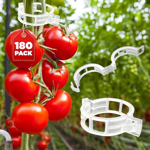 180 Pcs Plant Support Clips, Clear Plastic Trellis Clips, Garden Clips, Vegetable Clips, Vine Tomato Clips for Plants Support, Plant Clips for Climbing Plants to Grow Upright & Healthier - RamPro