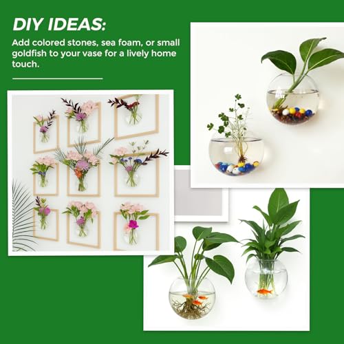 DomeStar Set of 4 Wall Vases, Wall Mounted Propagation Station - size: 4pcs