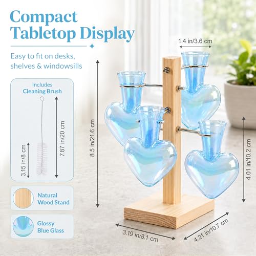 Nacome Plant Terrarium Propagation Stations: Blue Vase with Wooden Stand - color: Blue
