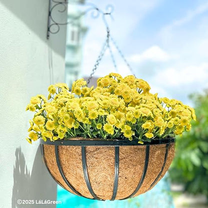 LaLaGreen Yard Hanging Baskets (20 in, 2 Pack) Black Coco Liner Garden Pots - size: 20" (51cm) x 2 Pack