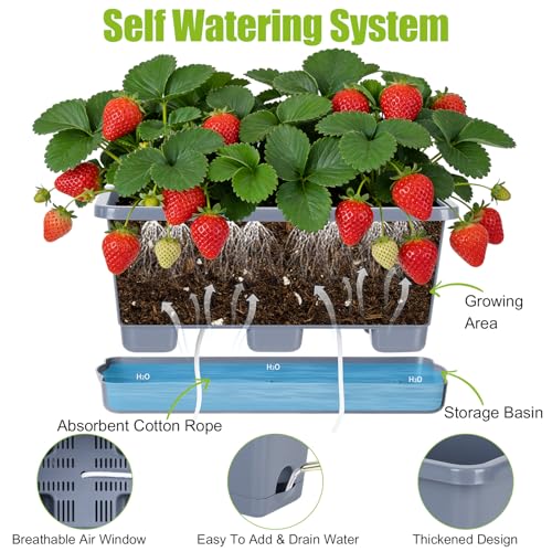 Oliz Window Box Planter 6 Packs, 13.8 Inches Rectangle Flower Pots with Drainage Holes & Trays, Pots for Vegetables, Herbs, Flowers, Garden Windowsill Balcony (Grey) - color: Gray