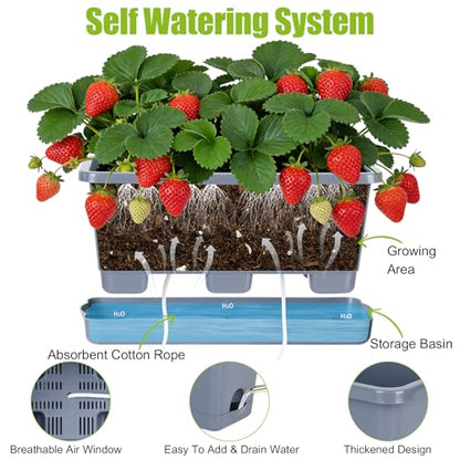 Oliz Window Box Planter 6 Packs, 13.8 Inches Rectangle Flower Pots with Drainage Holes & Trays, Pots for Vegetables, Herbs, Flowers, Garden Windowsill Balcony (Grey) - color: Gray