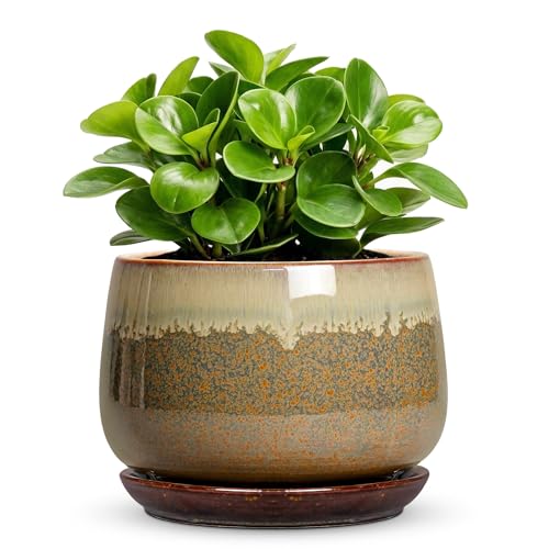 6 Inch Plant Pot - Ceramic Pots for Indoor Plants, Round Small Succulent Planter with Drainage and Saucer, Decorative Flower Pot, Office Room Decor, Gifts for Plant Lovers, Brown-Beige - size: 6 Inch, style: Brown-beige