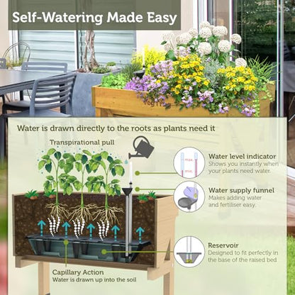 VegTrug Self Watering Kit for Classic Small 1m Raised Bed, Black - Reservoir System with Water Level Indicator, Prevents Overwatering, Easy Fill Tube & Funnel, Durable Plastic Construction - size: Small 1m