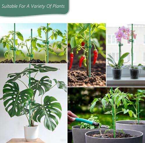 10Pcs Plant Support Stakes 17inch &11inch,Toylin Adjustable Length Plant Support Stake Orchid Stick with Clips for Indoor Outdoor,Garden Pole for Potted Orchid Tomato Vegetables