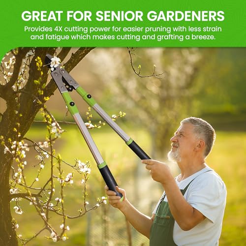 GARDEN GURU Extendable Anvil Lopper Tree Trimmer with Compound Action, Chops Thick Branches with Ease, 28-40”, Non-Stick High Carbon Steel Blade, Heavy Duty Branch Cutter, 2 Inch Clean Cut Capacity - size: 1 Pack, style: Extendable Anvil Lopper